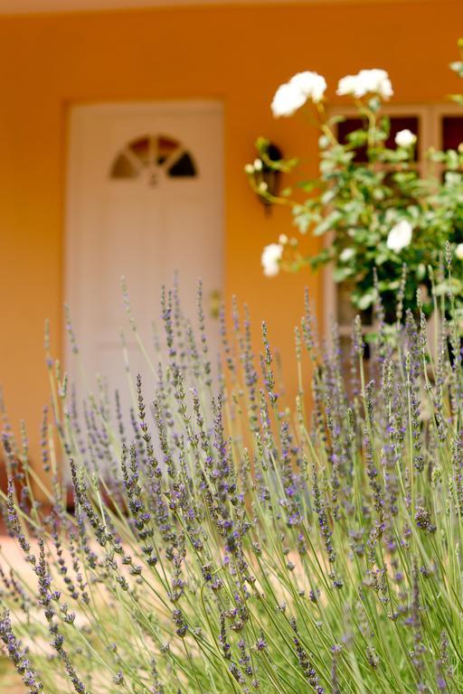 Little Tuscany Boutique Hotel Johannesburg Exteriör bild